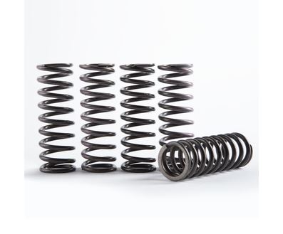 Hi-Temp Clutch Spring Kit HINSON CS159-5-001 (sada 5)