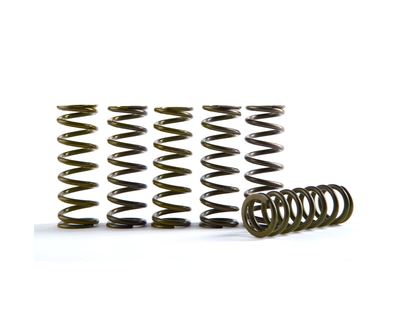 Hi-Temp Clutch Spring Kit HINSON CS330-6-0509