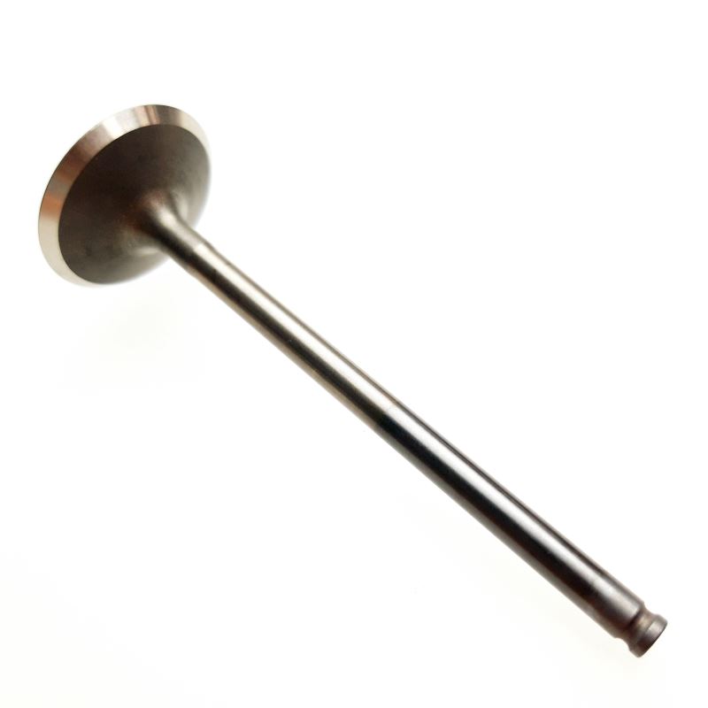 INTAKE VALVE