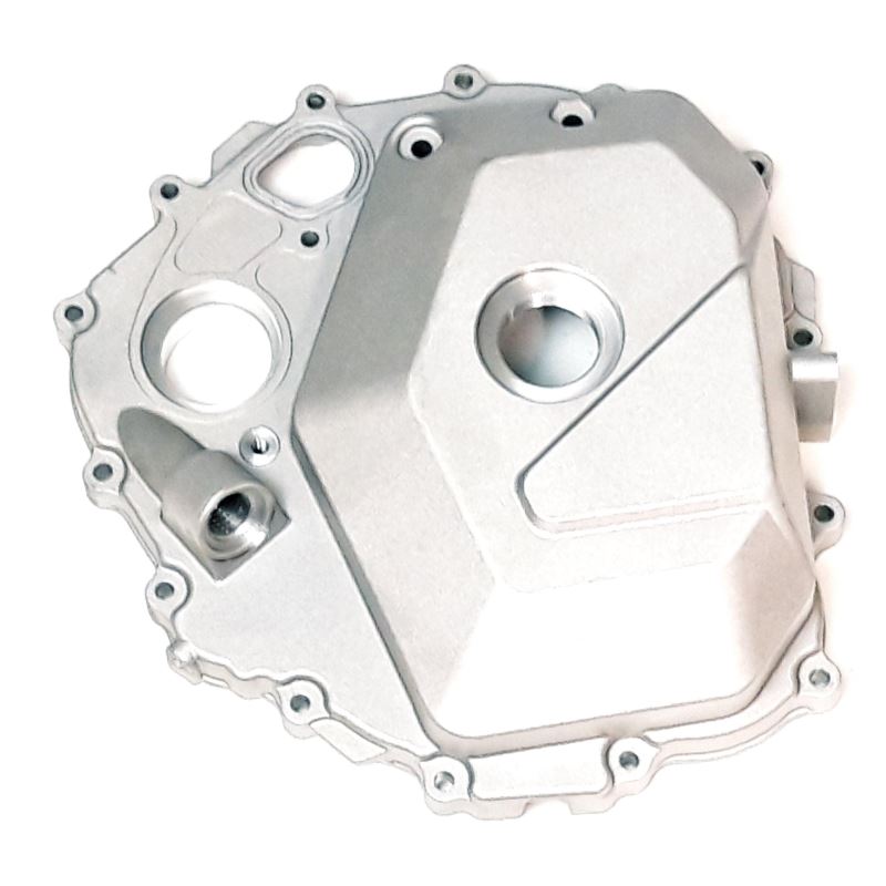 LEFT CRANKCASE COVER ASSEMBLY