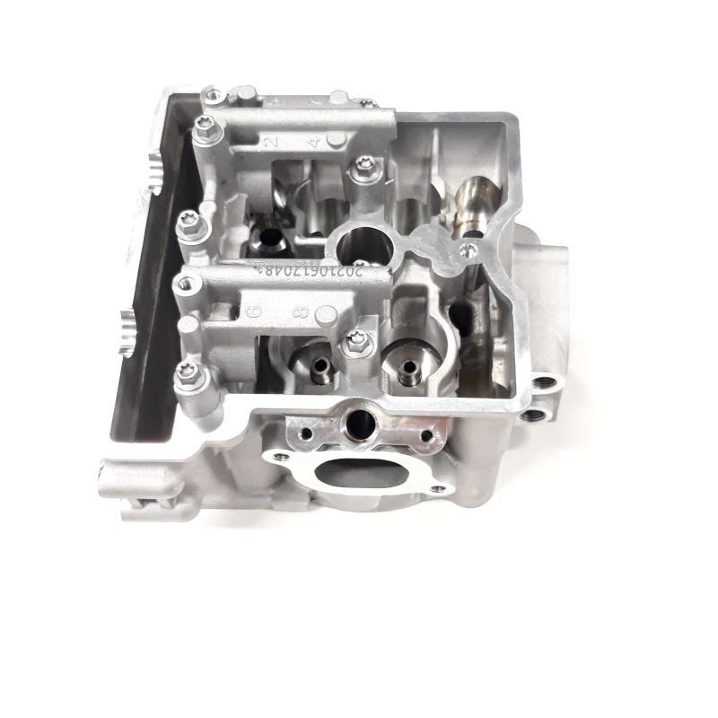 CYLINDER HEAD - CAMSHAFT CARRIER COMBINATION